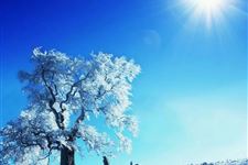 大雪节气谚语 关于大雪农谚大全