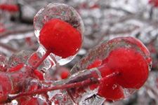 大雪节气气候特点