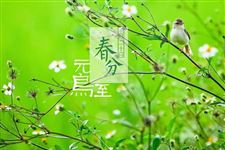 2018年春分是几月几日几点几分