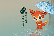 2019年雨水是几月几日:2月19日