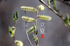 2018年立夏是几月几日几点几分