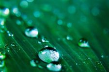 2018年雨水是几点