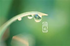 2018年哪天是雨水节气