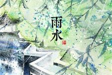 雨水节气吃什么菜好