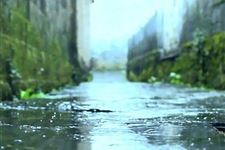 雨水三候是什么意思