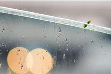 关于雨水节气的谚语