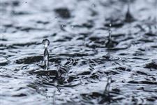 雨水节气的谚语
