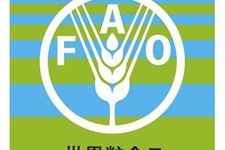 世界粮食日是几月几日,2018年世界粮食日是哪一天