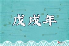 2018是农历什么年：戊戌年