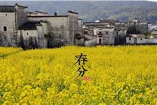 春分节气 春分详解