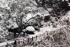 2017年大雪是几号 2017年大雪的农历时间是几号