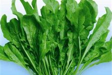 清明节吃什么吃野菜好 清明节习俗吃什么