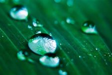 2018年雨水是哪一天 2018年雨水时间是哪天
