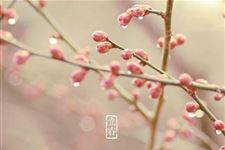 2019年立春是几月几日:2月4日