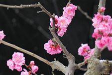2018年雨水的具体时间 2018年雨水是几点几分几秒