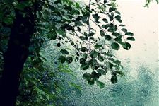 雨水节气由来 雨水节气是怎么来的