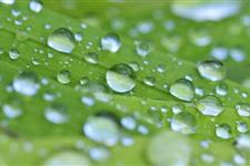 雨水节气的传统习俗 人们在雨水节气会有哪些传统习俗
