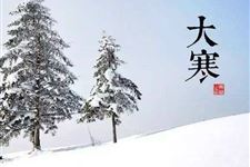 2017年大寒是什么时候 2017年大寒是哪天