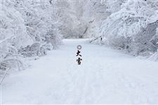 大雪节气出生的人好吗 大雪节气生日的人好不好