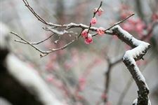 大寒养生起居注意事项 大寒节气养生对起居有哪些讲究