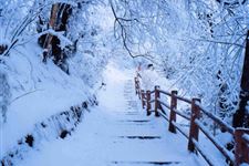 2017大雪节气养生祝福短信