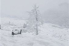 大雪节气不同体质进行不同的进补