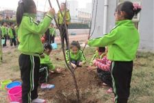 清明节可以植树吗 清明节为什么要植树