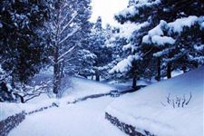 2017年大雪节气结婚好不好