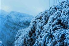 大雪节气养生的四大秘笈