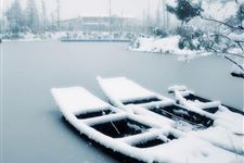 大雪节气衣食住行注意事项