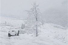 2017年大雪节气的日期 2017年大雪是农历几月几号