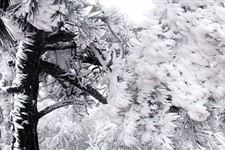 二十四节气中大寒是第几个节气