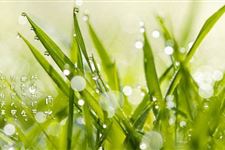 2018年雨水是什么日子 2018年雨水是什么时候