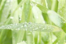 2018年雨水几点几分 2018年雨水时间:2月19日1时17分