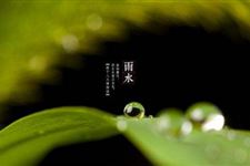 2018年雨水时间:2018年雨水是什么时候