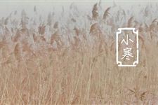 关于小寒节气的古诗词
