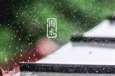 关于雨水节气的诗句有哪些
