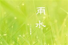 关于节气雨水的诗词推荐
