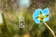关于雨水节气古诗词诗句谚语大全
