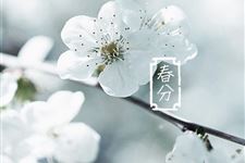 三月惊蛰又春分的下一句谚语是什么