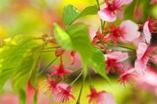 春分这个节气有什么特征