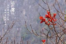 小寒到来以后,如何借“中医养生”去调理自己的身体