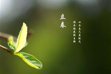 2018年世界非遗九华立春祭什么时候举行