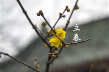 阴历2018年有立春吗