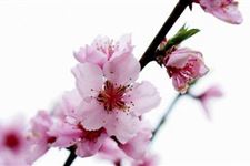立春躲春要注意什么