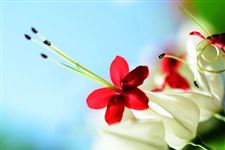 关于立春节气的谚语