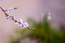 立春节气为什么要吃萝卜