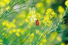 关于清明节最著名的诗句