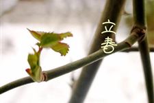 立春不能做的十件事是什么