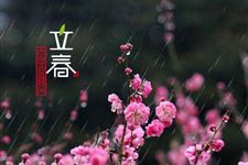 立春下雨有什么说法